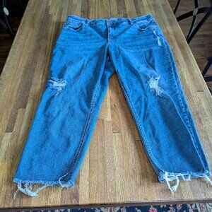 Ava and Viv Frayed Ankle and Knee Women's Size 20 Jeans